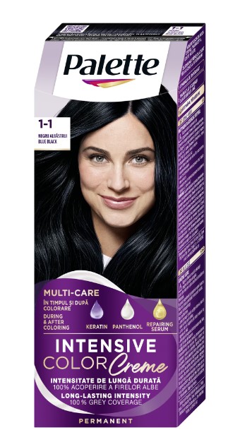 PALETTE ICC VOPSEA DE PAR 1-1 C1 NEGRU ALBASTRUI