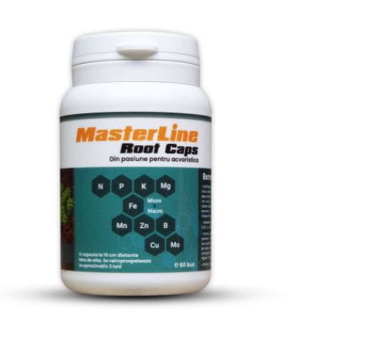 MasterLine Root Caps, 60 Capsule