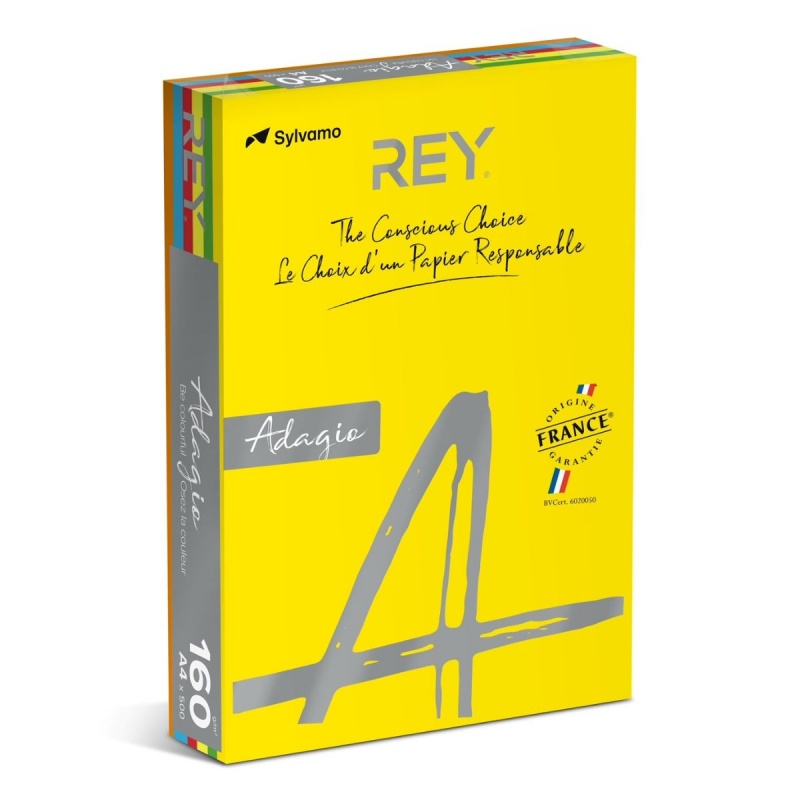 Carton colorat A4 Rey Adagio, 160g/mp, mix intens, 5x20coli, ADAP416/I-RB, top 100 coli