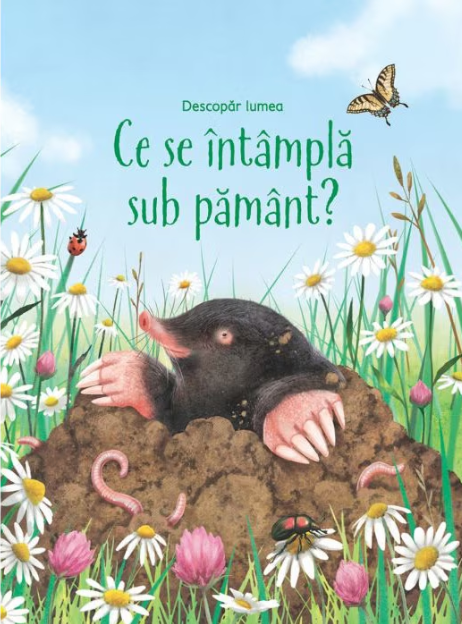 Ce se intampla sub pamant (Usborne) - Emily Bone