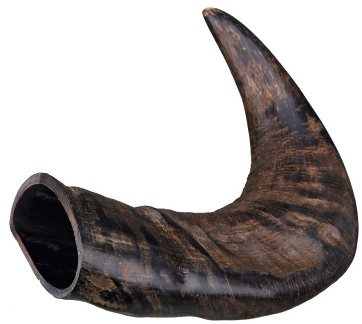 Corn Natural Mijlociu de Bivol 27742