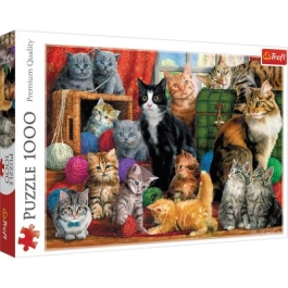 Puzzle Intalnirea pisicutelor, 1000 piese