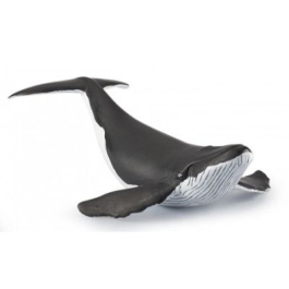 Figurina Pui de balena Papo
