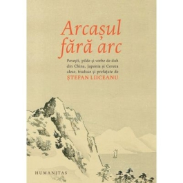 Arcasul fara arc - Stefan Liiceanu