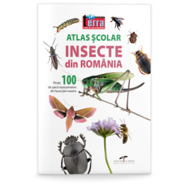 Atlas scolar. Insecte din Romania