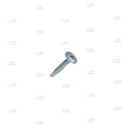 AUTOFORANTE 4.2X19 METAL 1000BUC/CUTIE