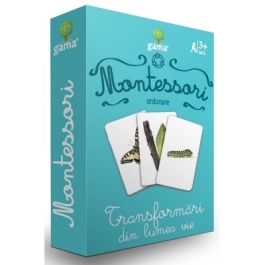 Carti de joc Montessori. Transformari din lumea vie
