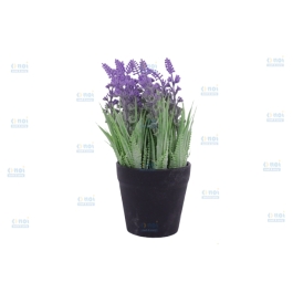 FLORI IN GHIVECI E01-55