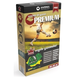 Seminte gazon Premium 0.75 kg, Gazonul