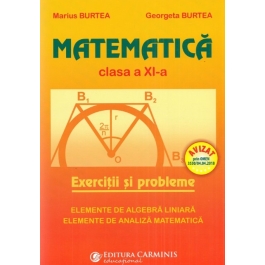 Matematica. Culegere pentru clasa a XI-a - Marius Burtea