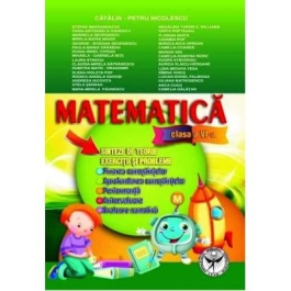 Matematica. Sinteze si teorie. Exercitii si probleme, Clasa a VI-a - Catalin Petru Nicolescu