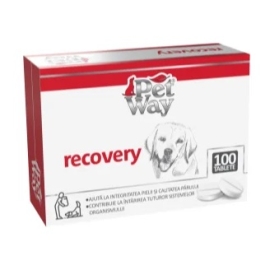 Supliment nutritiv pentru caini, 100 Tablete, Petway Recovery