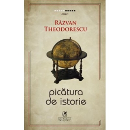 Picatura de istorie - Razvan Theodorescu