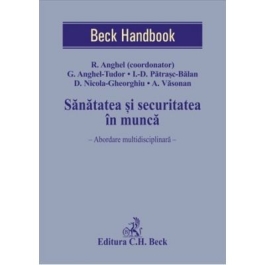 Sanatatea si securitatea in munca. Abordare multidisciplinara - Razvan Anghel, Georgiana Anghel-Tudor, Daniel Nicola-Gheorghiu, Ionela-Diana Patrasc-Balan, Alin Vasonan