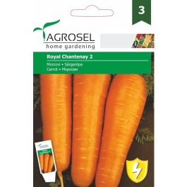 Seminte Morcovi Chantenay Red Cored2, 5 g, Agrosel