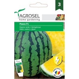 Seminte Pepene verde Peace F1, 10 seminte, Agrosel