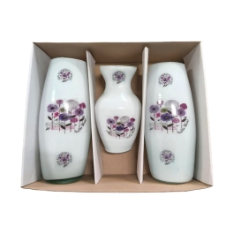 SET VAZE STICLA EG 1023 2509/SG 2700/2900/3200/7000
