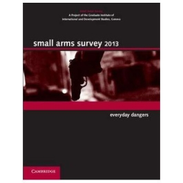 Small Arms Survey 2013: Everyday Dangers