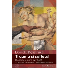 Trauma si sufletul. O abordare psiho-spirituala a dezvoltarii umane si a intreruperii sale - Donald Kalsched