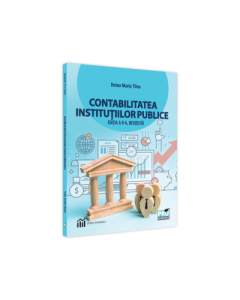 Contabilitatea institutiilor publice. Editia a II-a revizuita - Doina Maria Tilea