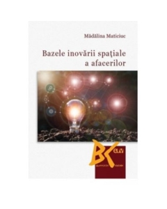 Bazele inovarii spatiale a afacerilor - Madalina Maticiuc