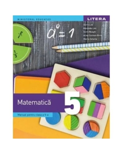 Matematica. Manual. Clasa a 5-a - Dorin Lint