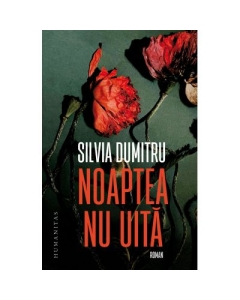 Noaptea nu uita - Silvia Dumitru