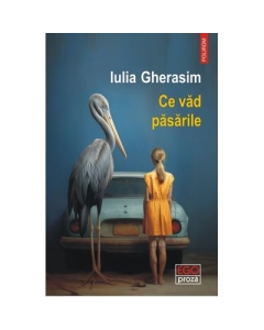Ce vad pasarile - Iulia Gherasim