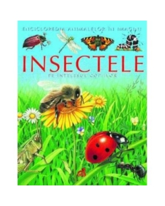 Insectele pe intelesul copiilor - Emilie Beaumont