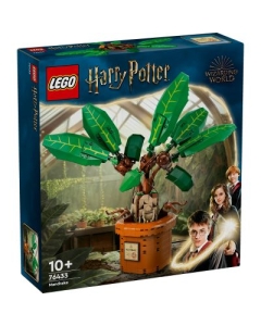 LEGO Harry Potter. Matraguna 76433 579 piese
