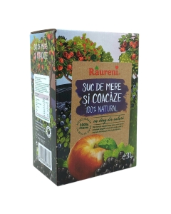 Suc de mere si coacaze 3L Raureni
