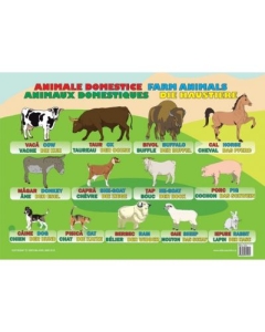 Animale Domestice - Plansa educativa