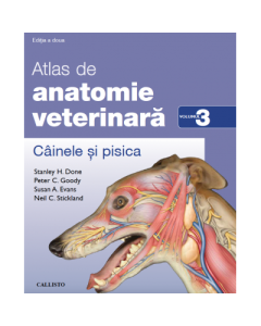 Atlas de anatomie veterinara. Cainele si pisica. Volumul 3 - Stanley H. Done, Peter C. Goody, Susan A. Evans, Neil C. Stickland