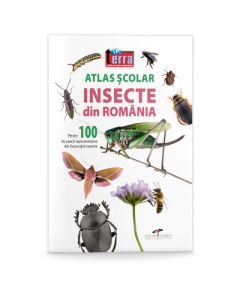 Atlas scolar. Insecte din Romania