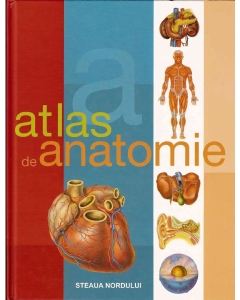 Atlas de anatomie Atlas anatomie Steaua Nordului grupdzc