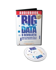 Audiobook. Big Data - Viktor Mayer-Schonberger