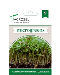 Seminte Coriandru microgreens, 4 g, Agrosel