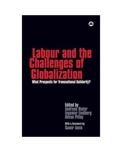 Labour and the Challenges of Globalization. What Prospects For Transnational Solidarity? - Andreas Bieler, Ingemar Lindberg, Devan Pillay