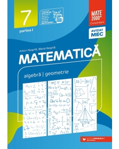 Matematica. Algebra, geometrie. Clasa a 7-a. Consolidare. Partea I - Anton Negrila, Maria Negrila Semestrul I Clasa 7 Paralela 45 grupdzc
