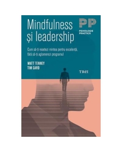 Mindfulness si leadership. Cum sa-ti resetezi mintea pentru excelenta, fara sa-ti aglomerezi programul - Matt Tenney
