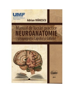Neuroanatomie. Manual de lucrari practice si topografia capului si gatului - Adrian Ivanescu