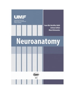 Neuroanatomy - Ioan Alin Nechifor-Boila
