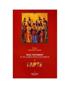 Noul Testament in talcuirea Sfintilor Parinti. Vol. 5. Fapte - Ioan Sorin Usca