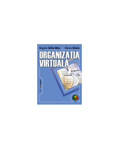 Organizatia virtuala - Bogdan Ghilic-Micu, Marian Stoica