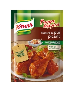 Knorr Punga Magica Condimente pentru Friptura de pui picant, 29 g