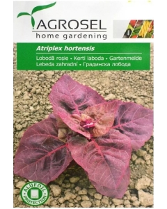 Seminte de loboda rosie, 0.5 g, Agrosel