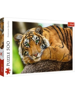 Puzzle portretul tigrului 500 piese