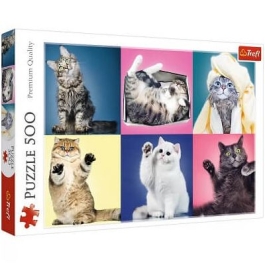 Puzzle pisicute 500 piese Trefl