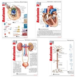Pachet Pliante Anatomie volumele 1-4 - Florica Mailat