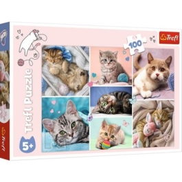 Puzzle 100 In lumea pisicilor Trefl